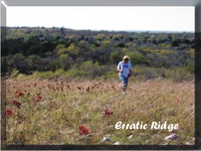 Erratic Ridge